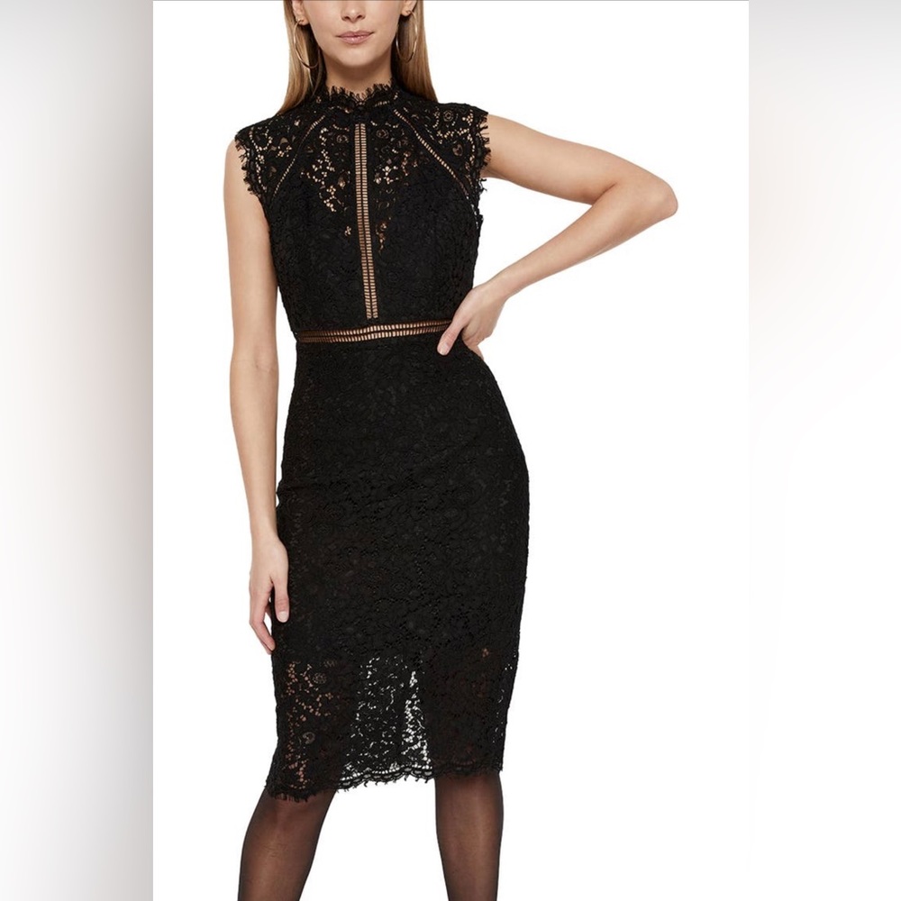 Bardot lace sheath cocktail dress